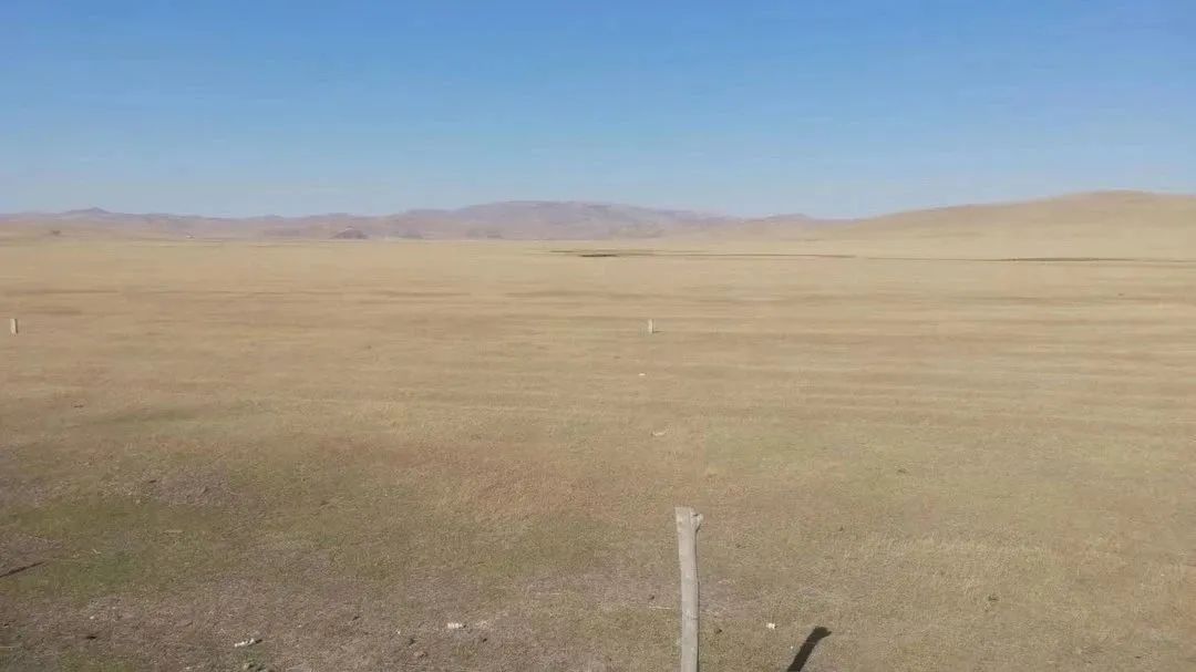 1685602663596155.jpg 640.jpg